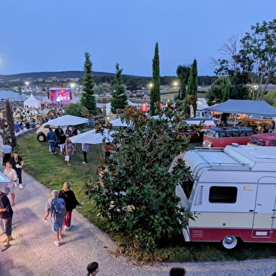 The French VW Bus Meeting