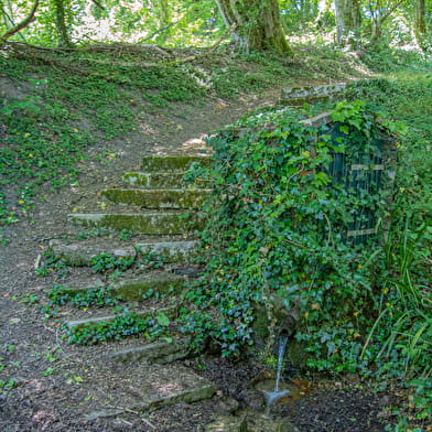  La Forêt du Sauvage