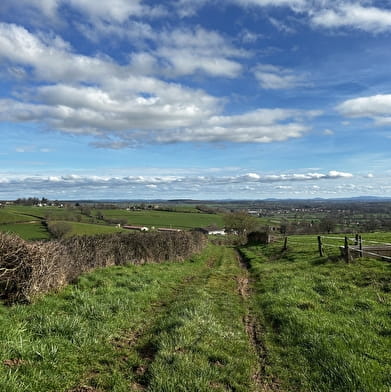 Groene wandeling - De kluizenaarswandeling (MSJ 2)