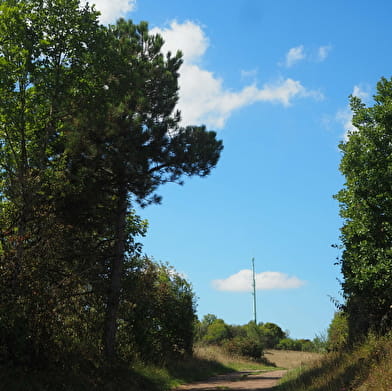 Mont de Marcilly