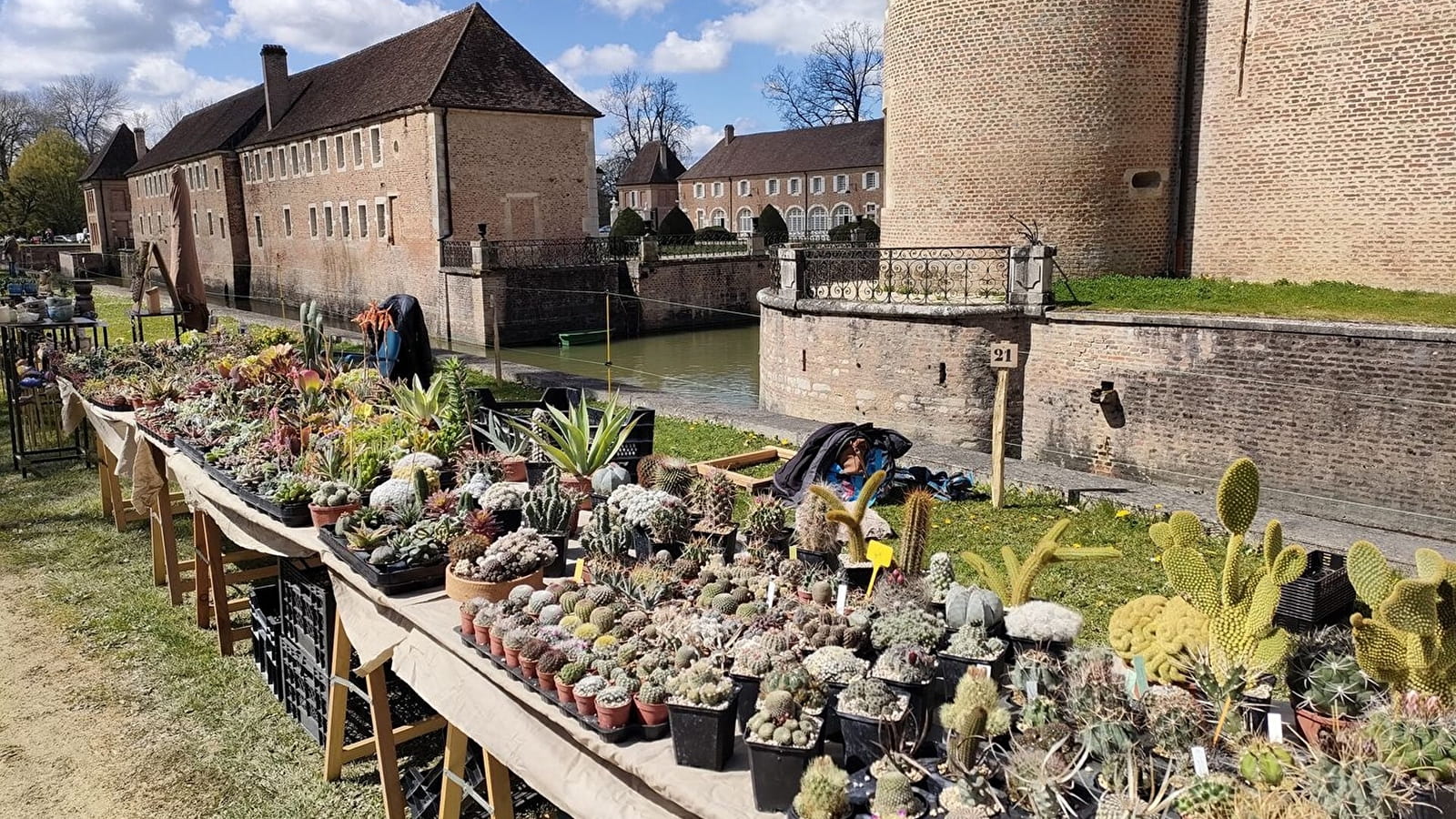 Foire aux plantes rares