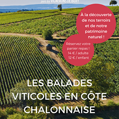 Les balades viticoles en Côte Chalonnaise