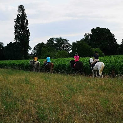 En EQUI-LIBRE - Balade à cheval autour de Beaune