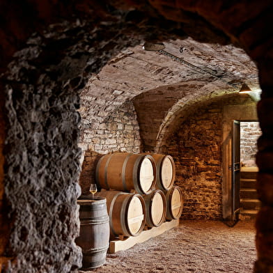 Château Philippe le Hardi - Visite 'Au coeur du fief de Santenay'