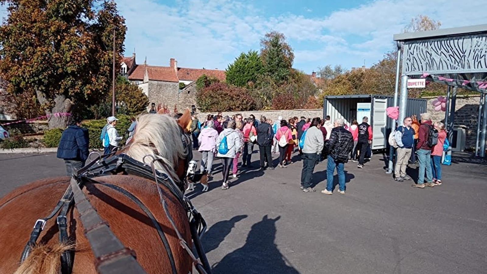 Les calèches de la Bohême