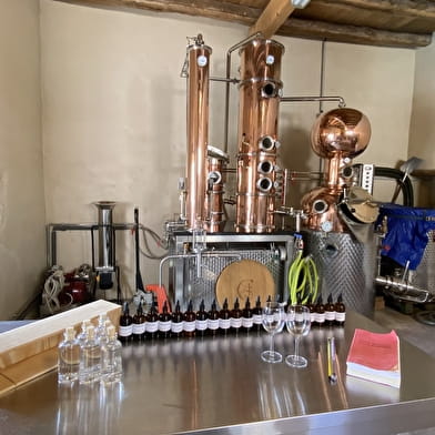 Ateliers récréatifs autour du gin - Distillerie du Clos Saint Joseph