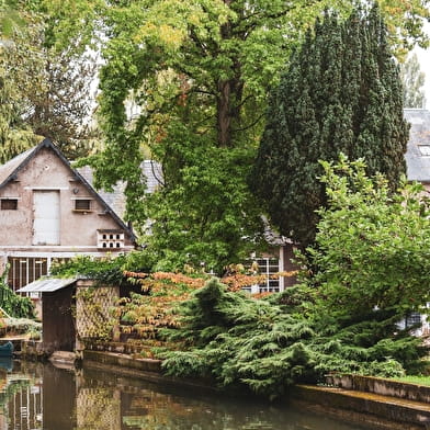 L'huilerie du Moulin de l'île