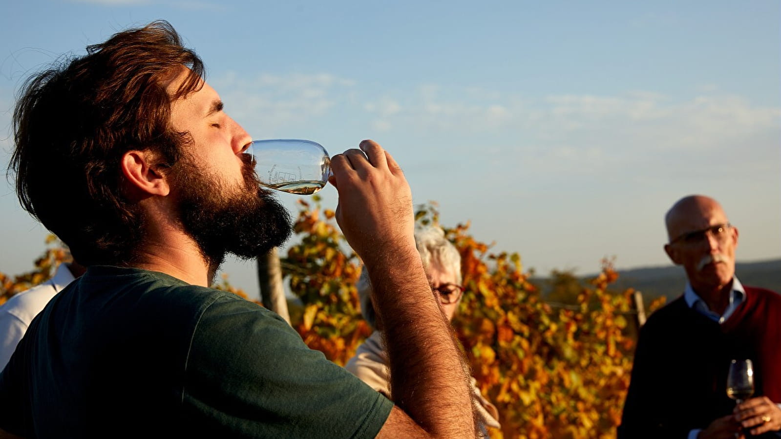 Domaine François et Blandine Rocault – « vis ma vigne » : l’éveil des sens dans les Hautes-Côtes de Beaune