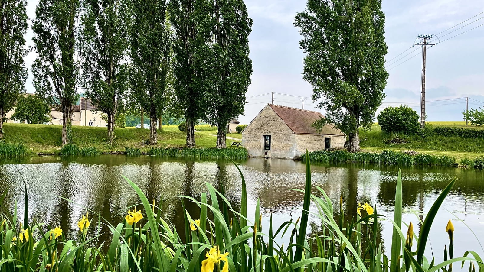 Étang et lavoir de Saulx-la-Ville