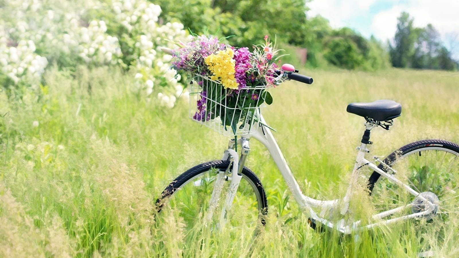 Atelier Luzycyclette - EBE L'Etabli