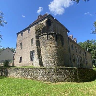 Château de Gevigney - Gîte des Colombes