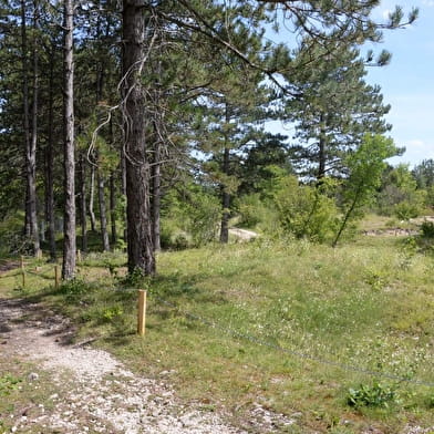 Van de leugen tot de steengroeven van Solitude - La Roche-Vineuse