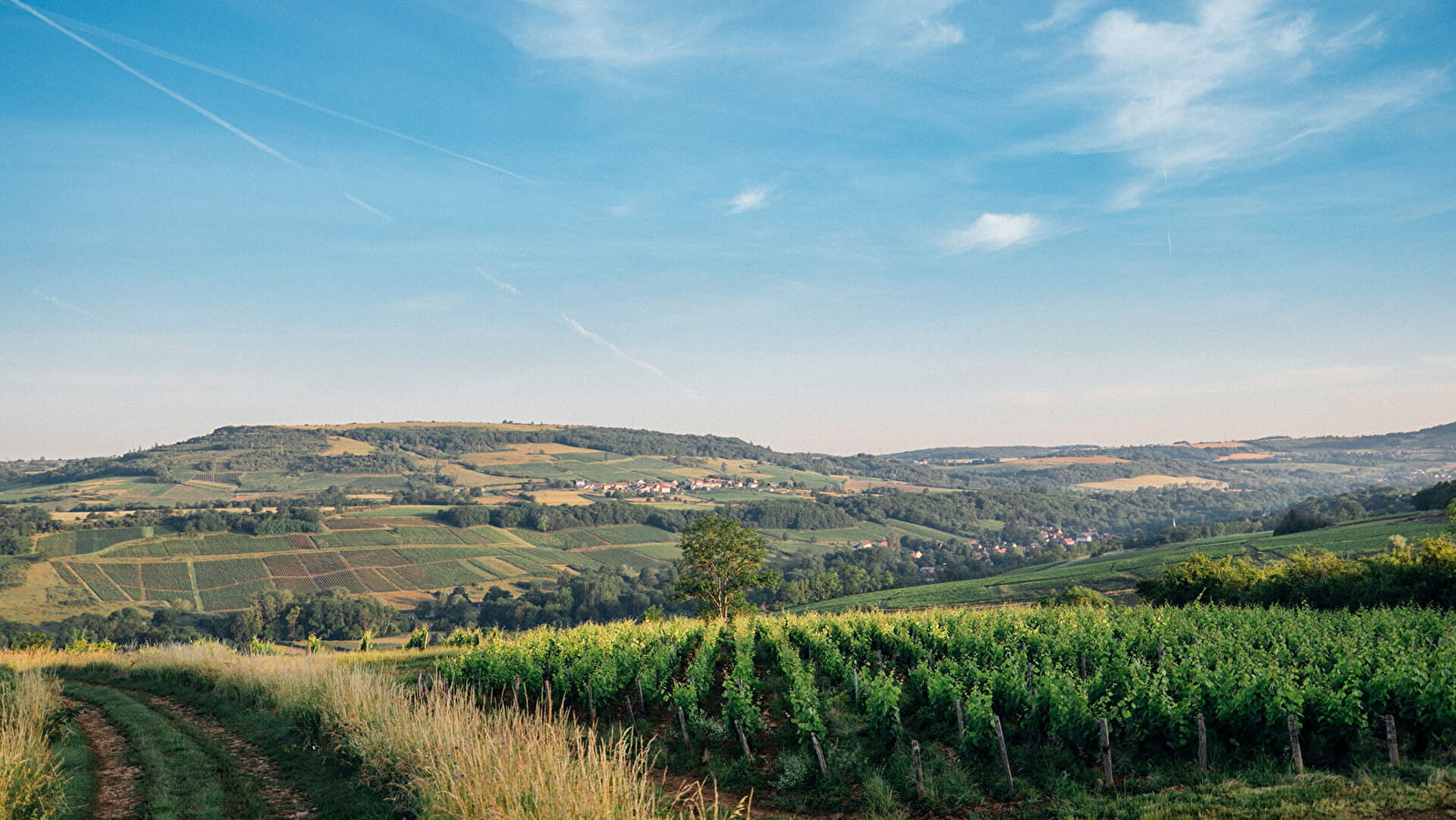 Domaine Saint-Antoine des Echards