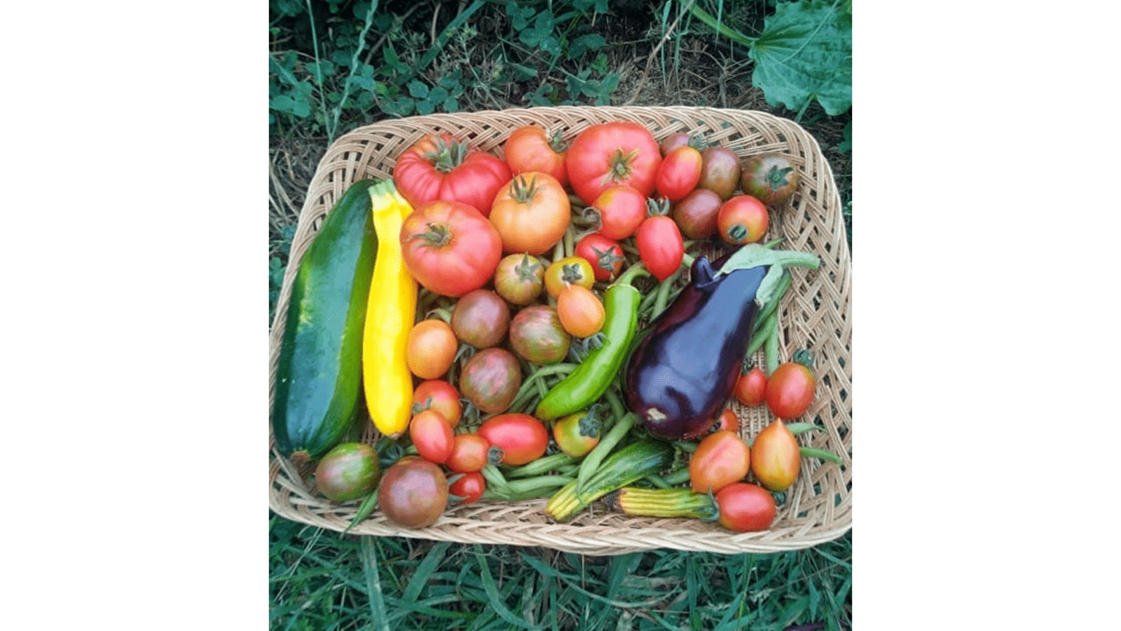 Les rendez-vous bressans : Les Jardins de Justine