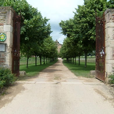 Château de Salornay