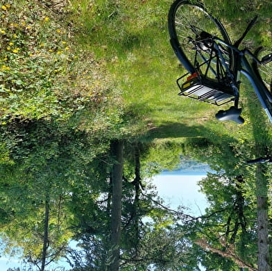 Domaine Ninot (Visite-Dégustation - Bicyclettes au domaine)