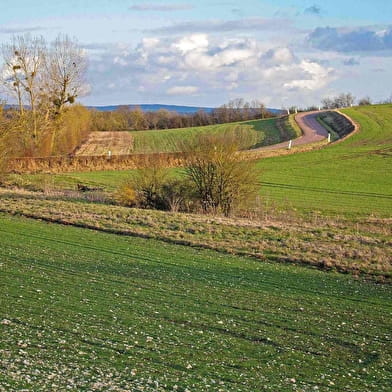 Sentier du Moulin de Hausse Côte