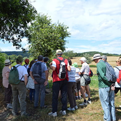 Sur les Hauteurs de Laizy