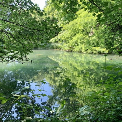 Chalet au bord de l'eau