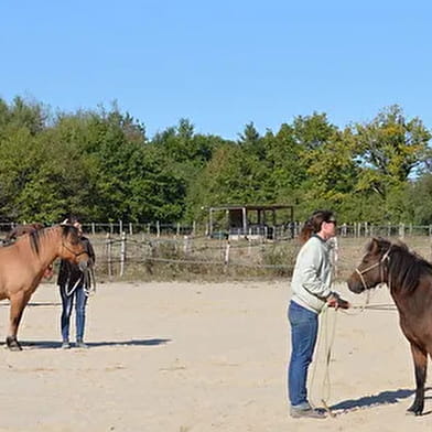 Haras Au Coeur des Possibles