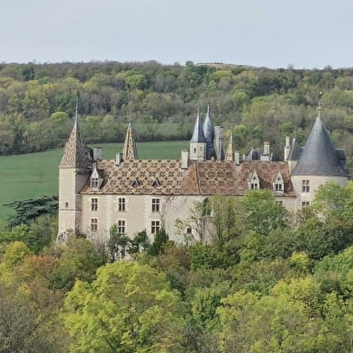 Les Divines Bourgogne - Œnotourisme sur mesure /Évènements œnotouristiques à la carte