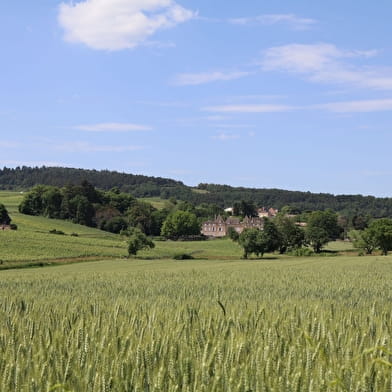 Van de leugen tot de steengroeven van Solitude - La Roche-Vineuse