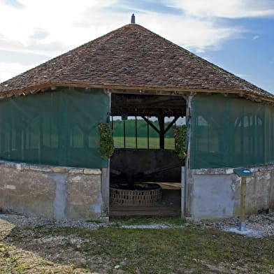 Les vallons de Forterre vers la voie romaine