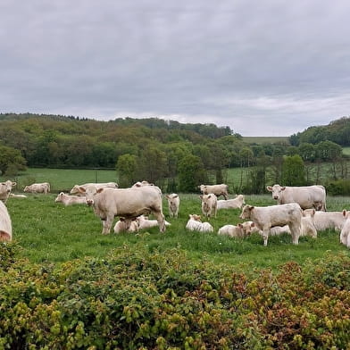 Domaine de Vauvelle