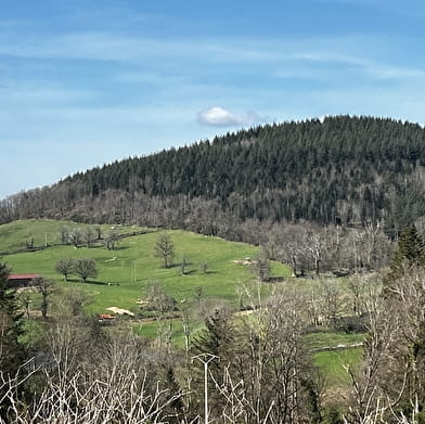 Balade Verte - Le tour des collines (B3)