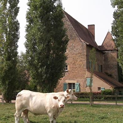 Gîte de Sermaize