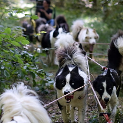 La Tribu d'Oïmiakon