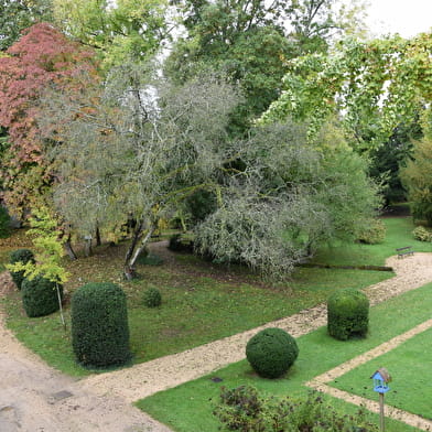 Muséum d'Auxerre