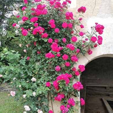 La Savonnerie du Lavoir - Blandine Marec