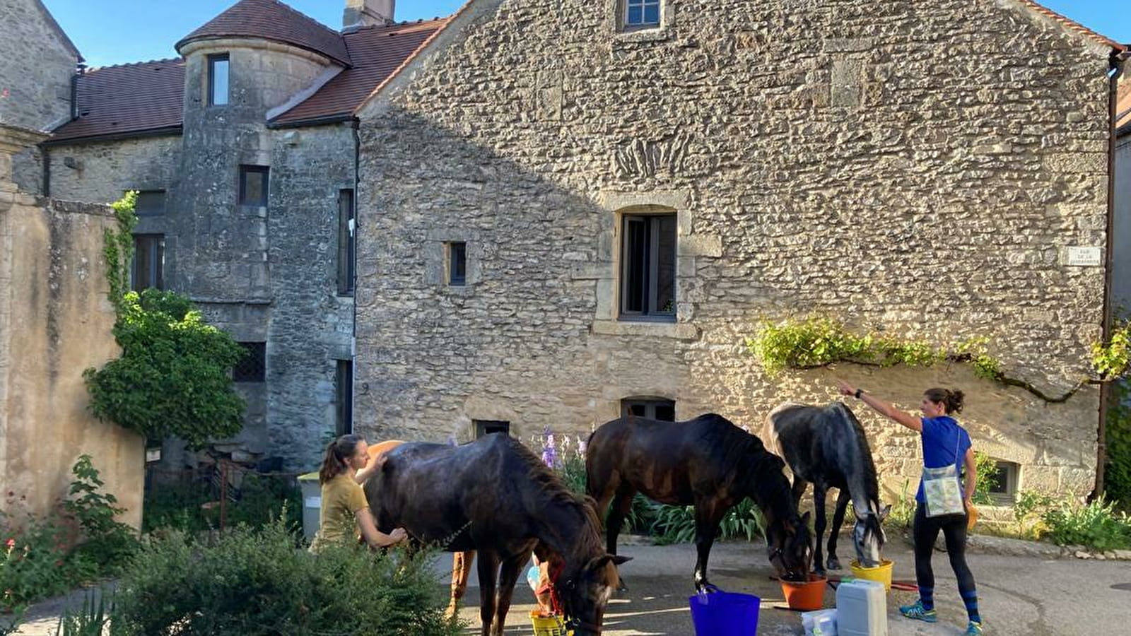 Randonnée équestre épicurienne et sportive 'Les anis de Flavigny'