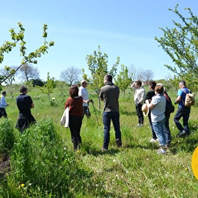 Sur les sentiers de Bretigny : à la découverte de la biodiversité sur un territoire en transition