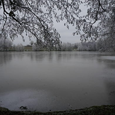 Etang de la Verne