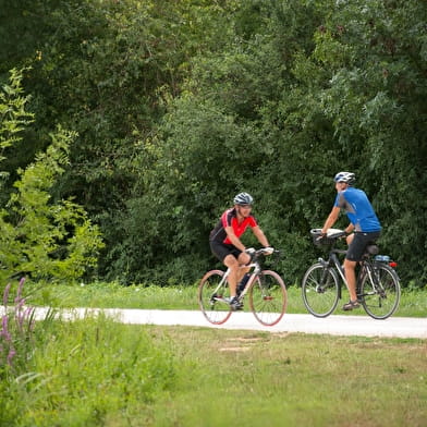 Fietsen in Bourgondië