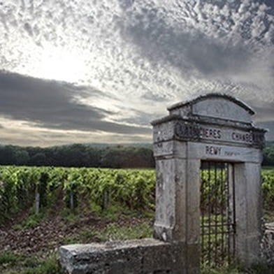 Wine & Tours, Côte de Nuits