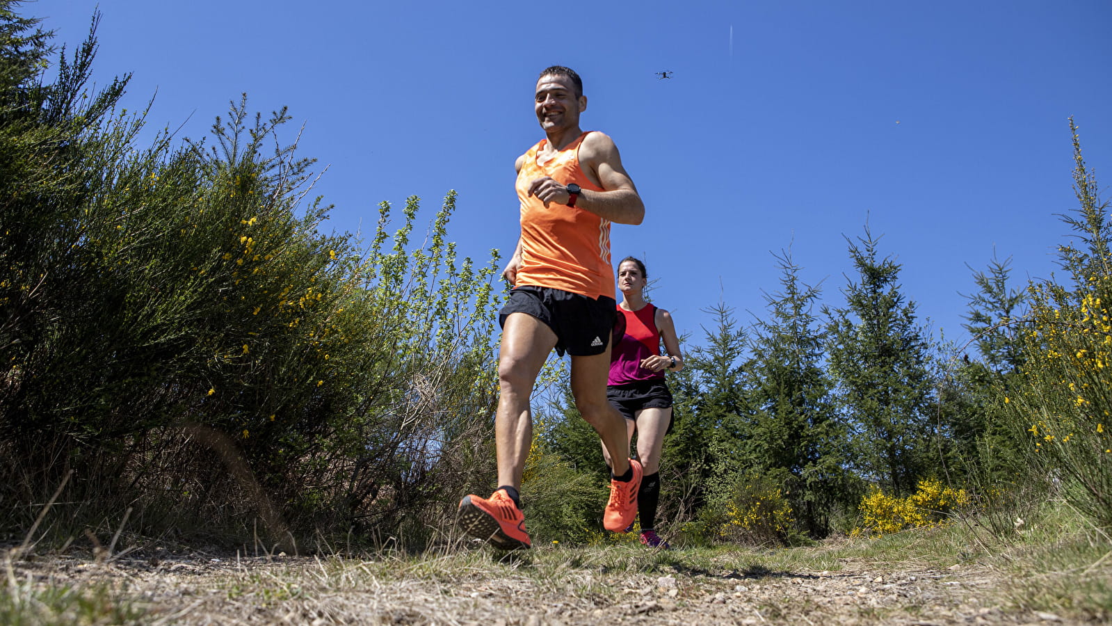 Circuit de Trail: Boucle n°2 de Moux-en-Morvan