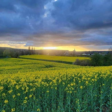 La Lande sèche