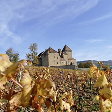 Route des Vins : Mâconnais