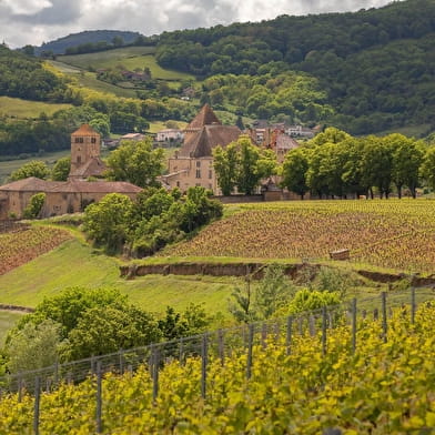 Des vignobles au Val Lamartinien - De Mâcon à Bourgvilain