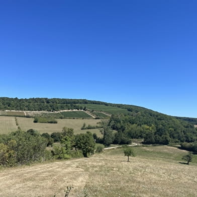 Le tour du Mont Bouzu