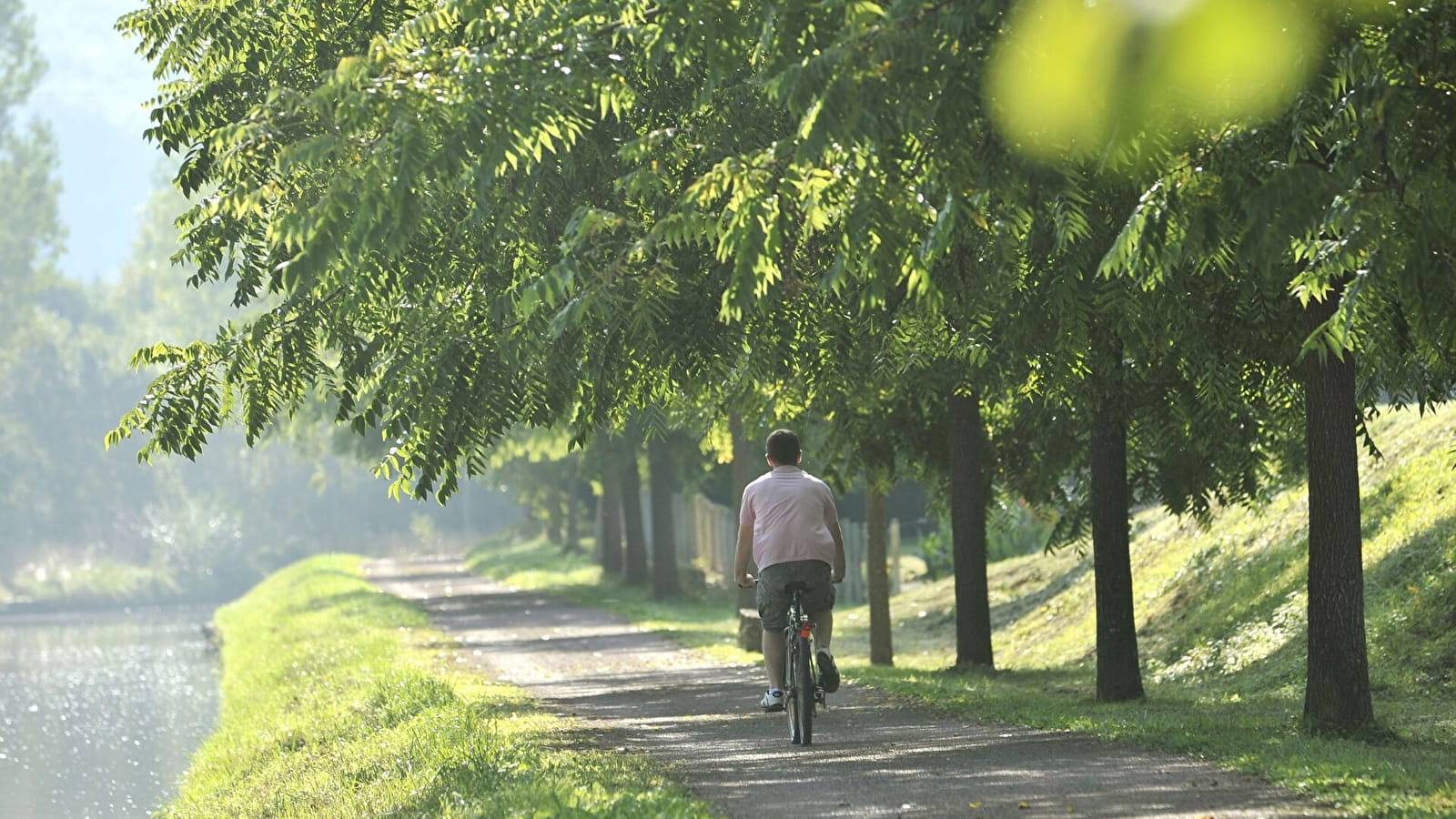 Le Chemin des Flotteurs