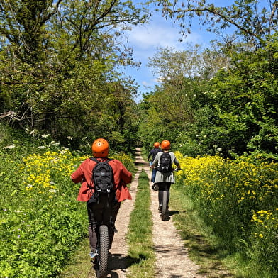 Balade en e-trott - Evasion en forêt