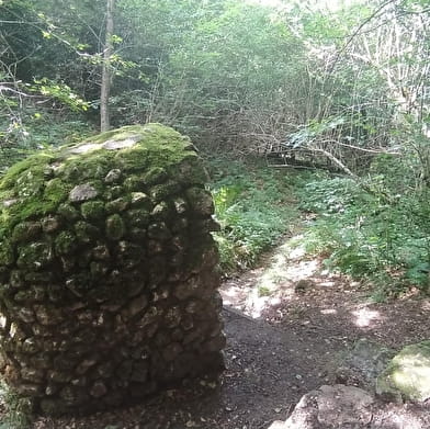 Fontaine à froid