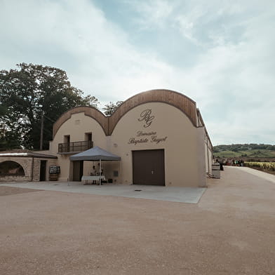 Domaine Baptiste GUYOT : Découverte de nos vins et des caves