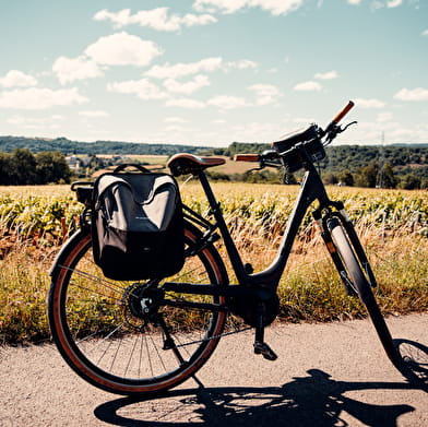 La VélOeno71 : en quête du discret Aligoté