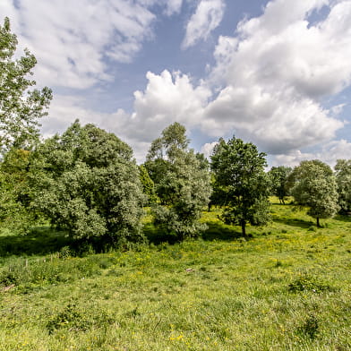 Bourgogne Détente - 'La Longère de Varennes'