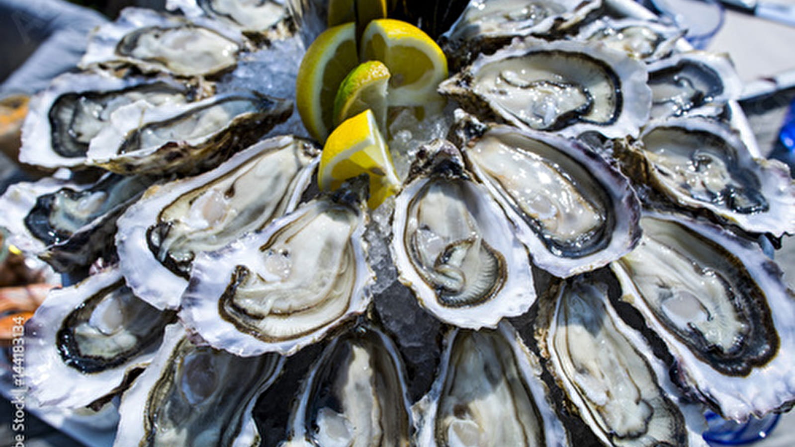 L'Idylle en Mer